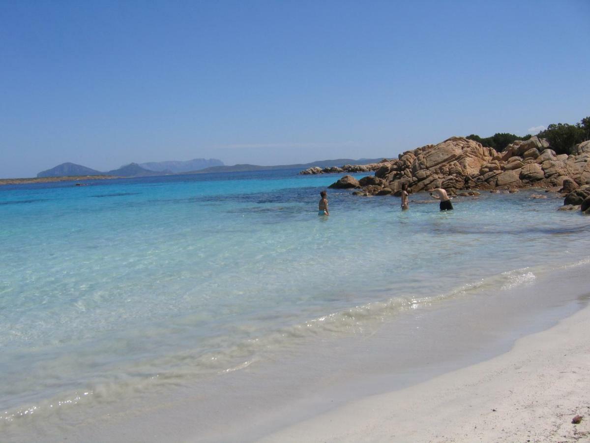 Bilocale Ginestre - Costa Smeralda Abbiadori Luaran gambar